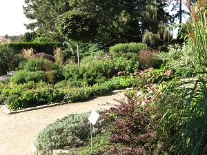 Karl Foerster Garten Potsdam Bornim Foto Brandt